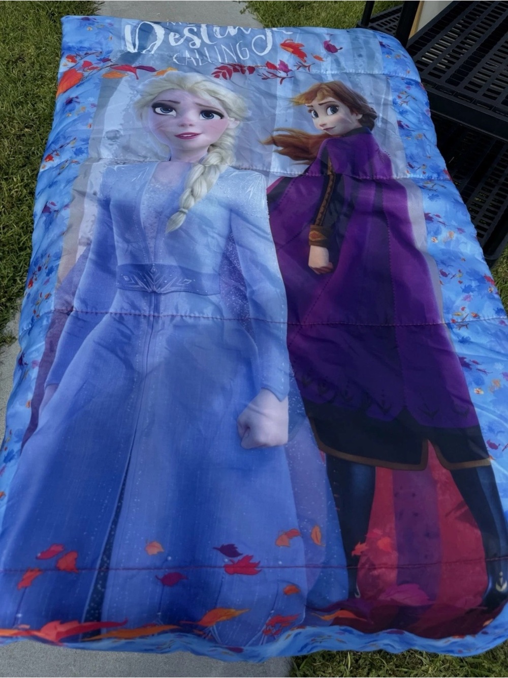 Disney Blue and Purple Elsa & Anna Sleeping Bag